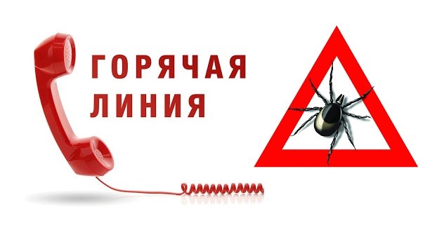 Всероссийская «горячая линия» по вопросам профилактики клещевого энцефалита.