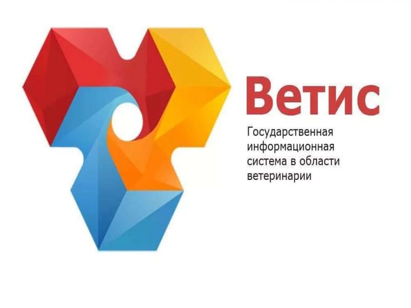 Корректировка данных ЭВСД в системе маркировки: разъяснения.