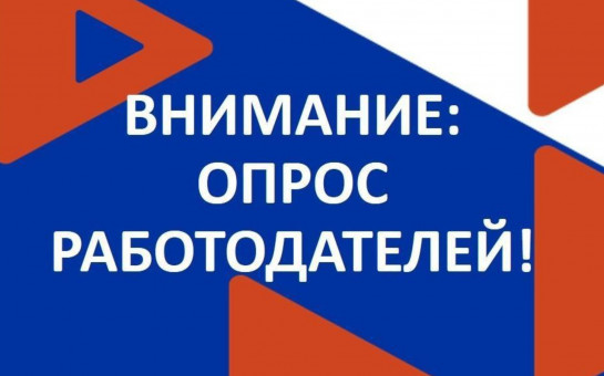 В период с 1 апреля по 15 июня 2025 года будет проводиться Всероссийский опрос работодателей о перспективной кадровой потребности.