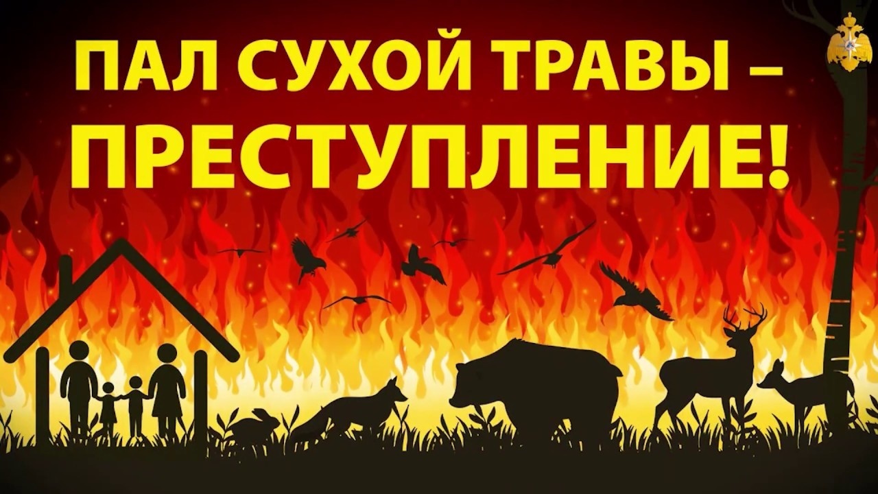 Поджоги сухой травы опасны!.