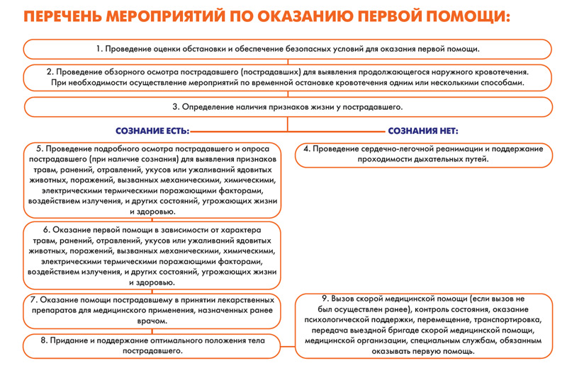 Перечень мероприятий по оказанию первой помощи.